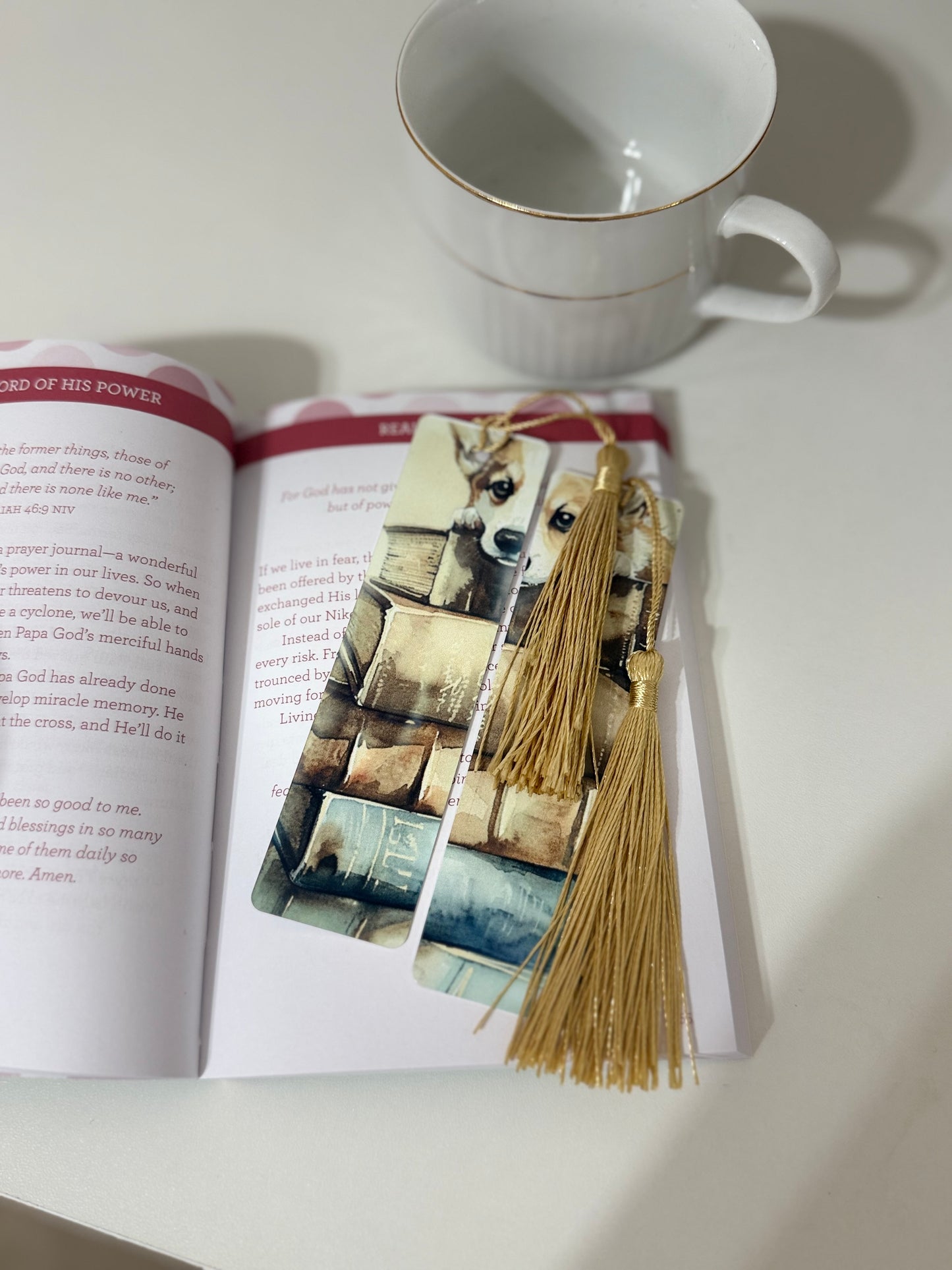 Dog on Books Bookmark