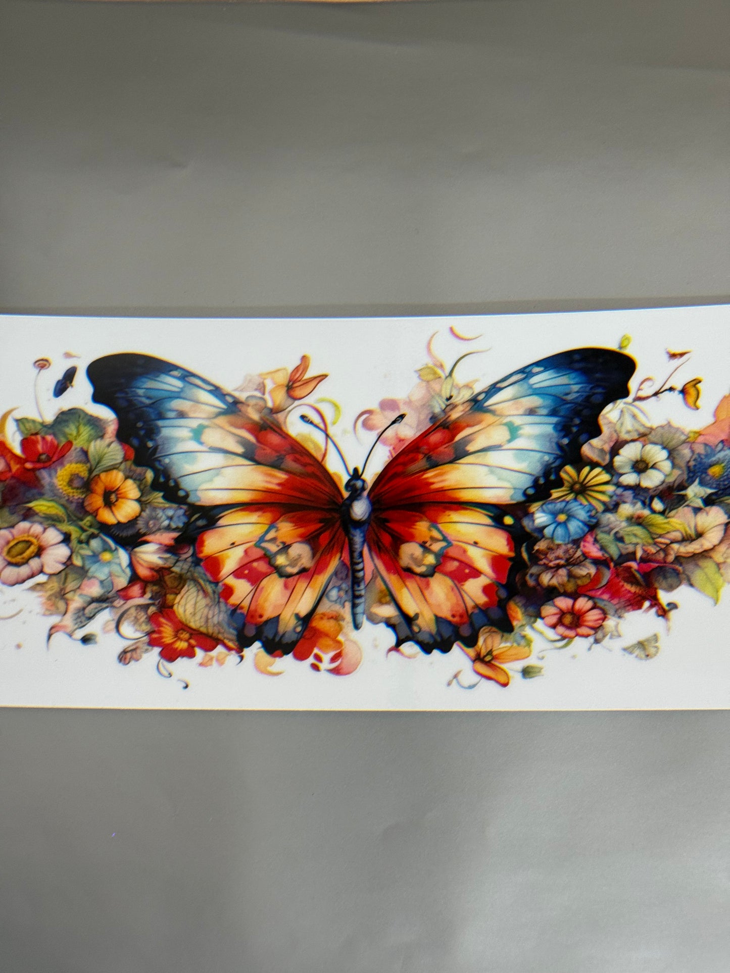 Butterfly 7