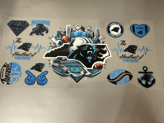 Panthers 1